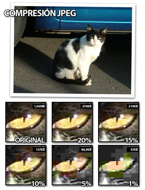 Imágenes con perdidas (lossy): Artifacts y calidad del formato JPEG.