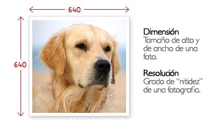 resolucion dimension imagen