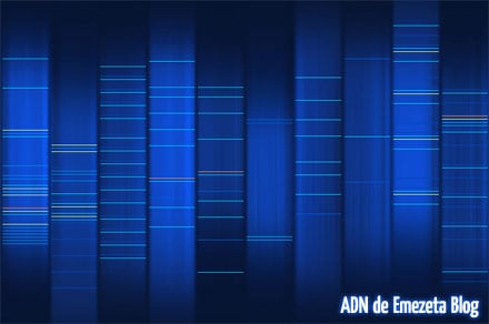 ADN emezeta blog
