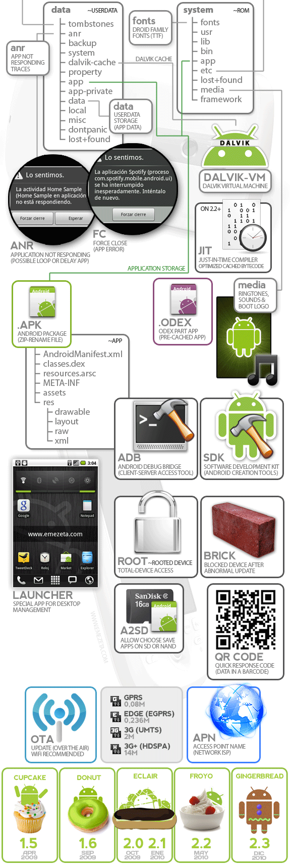 Infografía sobre Android: Particiones system y data, ANR, FC, maquina virtual dalvik, términos variados y versiones de android.