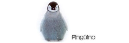pingüino