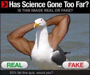 Banner del estilo ¿Real o falsa? Con una mezcla de humano y pájaro