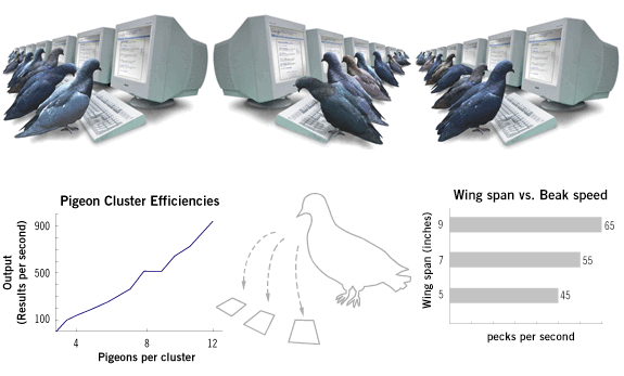 Productos ficticios de Google: Pigeonrank