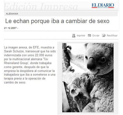 cambio sexo koala transexual