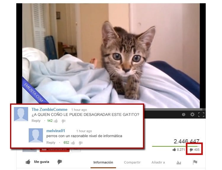 Gatito