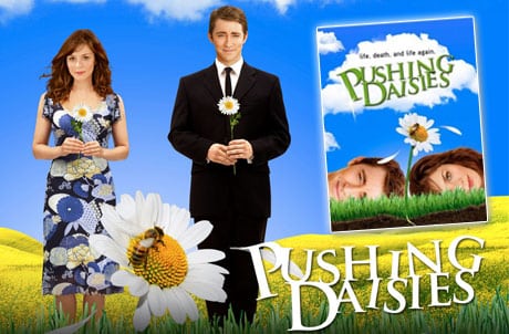 criando malvas pushing daisies