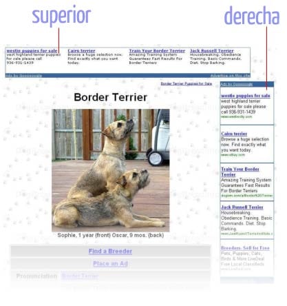 criterios seguimiento adsense