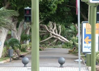 tormenta delta