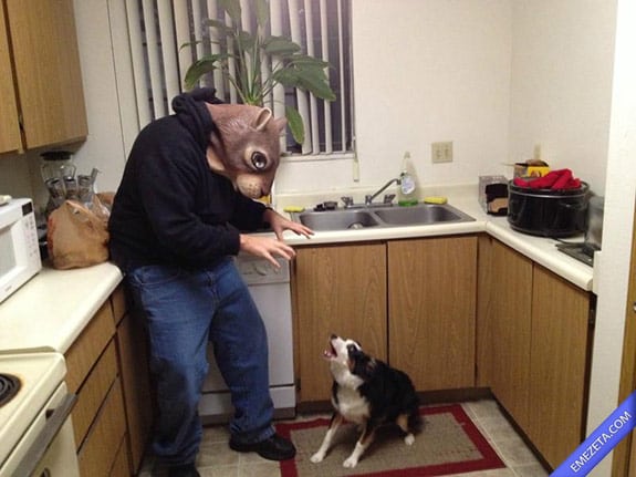 Disfraces de Halloween: Ardilla terror perro