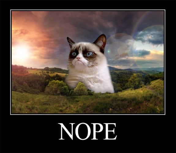 Grumpy Cat (Nope)