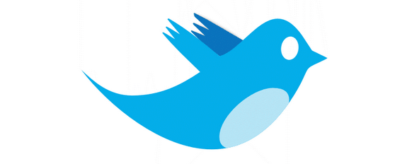 twitter fauna animales pajaros aves
