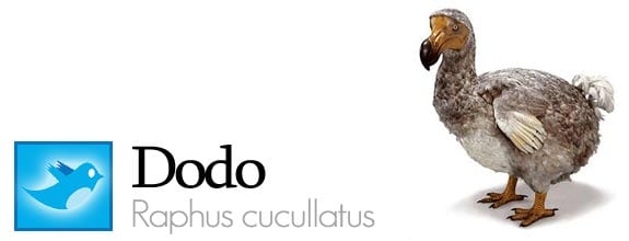 twitter fauna animales pajaros aves redes sociales dodo
