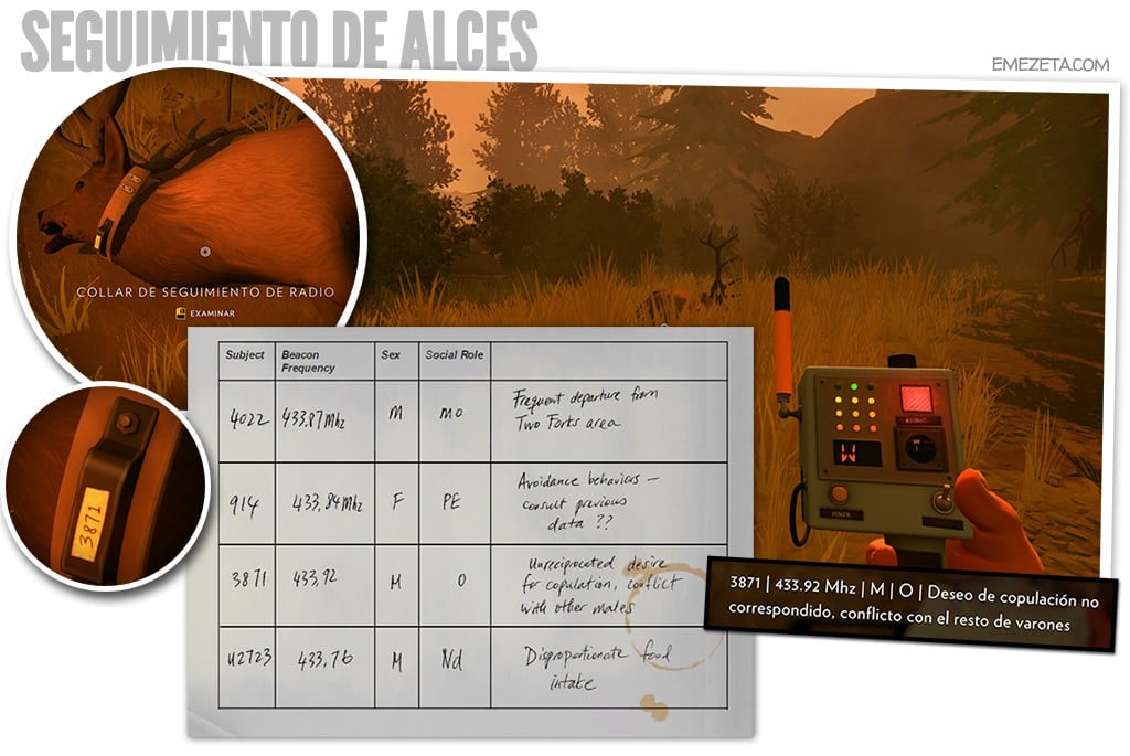 Seguimiento de alces