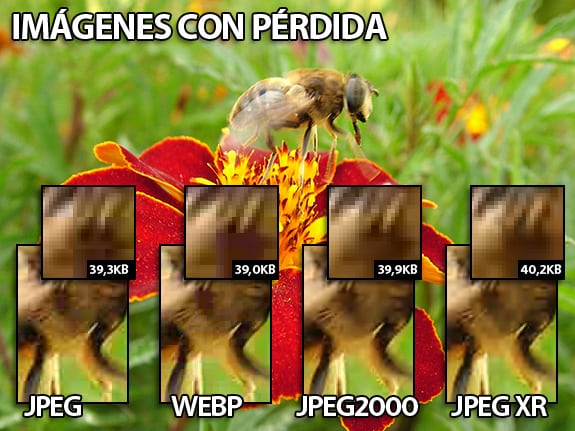 Imágenes con pérdidas