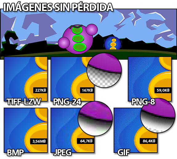Imágenes sin perdidas (lossless): BMP, PNG, TIFF, GIF.