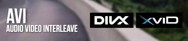 Formato AVI (DivX, XviD)