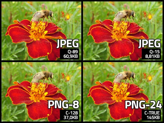 Guía de posicionamiento en Google: Imagenes optimizadas