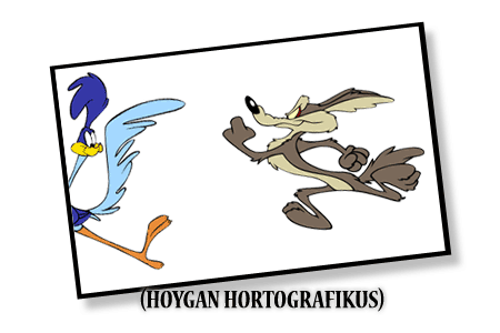 hoygan hortografikus hoigan dummie
