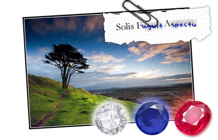 innocent hill arbol