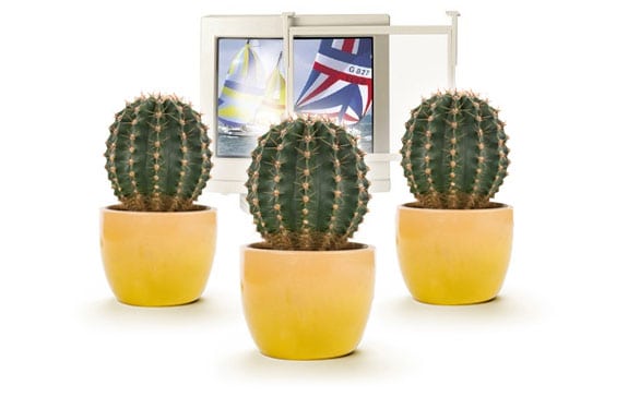 Leyendas urbanas geeks: cactus y filtros anti-radiación