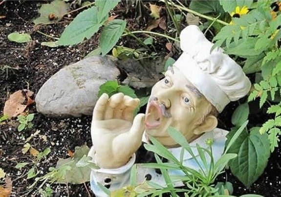 Malinterpretaciones involuntarias: Chef cocina