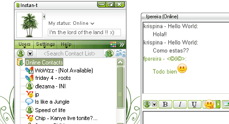 instant msn messenger