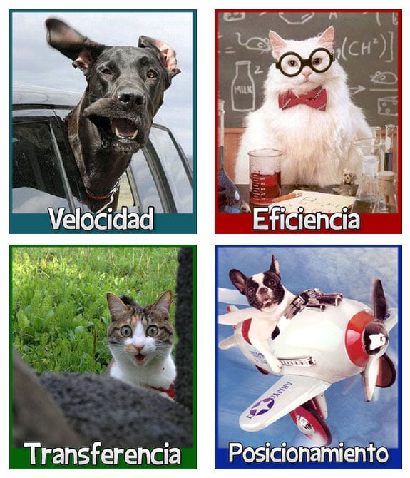 Velocidad de acceso, Eficiencia, Transferencia mensual y Posicionamiento