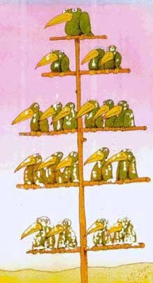 Organigrama de empresas