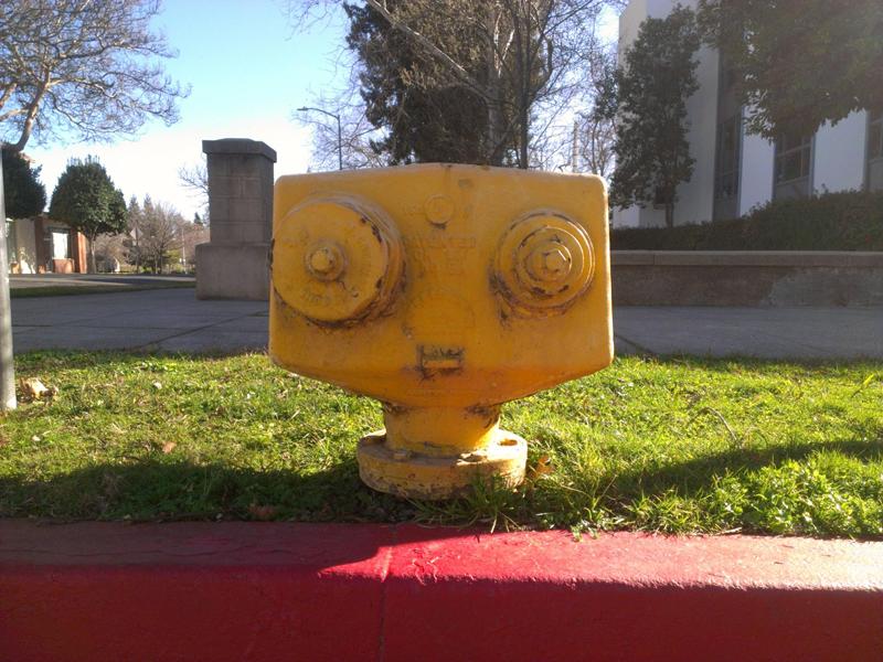 Pareidolia: O_o