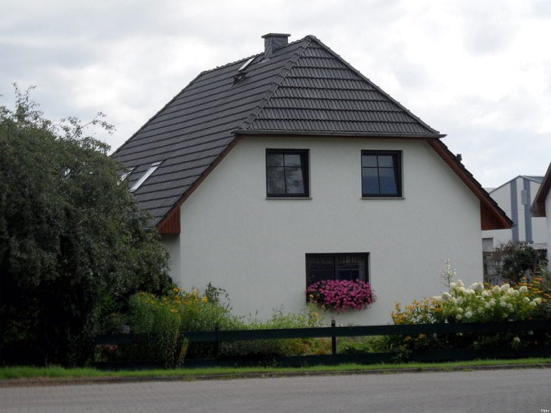 Pareidolia: Casita lengua