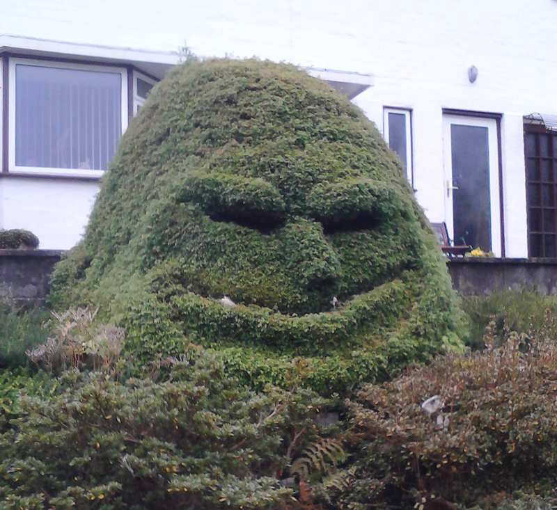 Pareidolia: Sr mountain