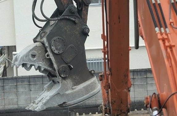 Pareidolia (rostros o figuras en imágenes): Pájaro con pico de metal