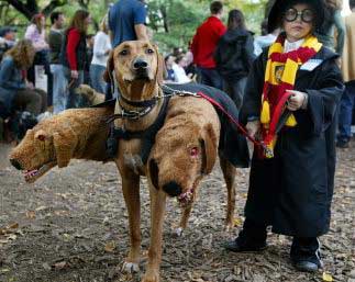 disfraces para perros