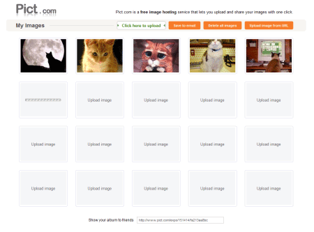 hosting image pict