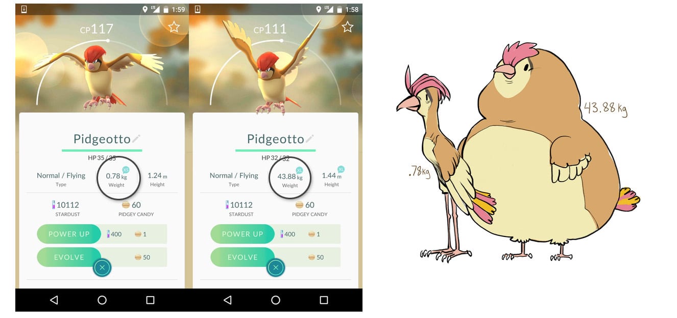 Pokémon Go y su lógica con los pesos