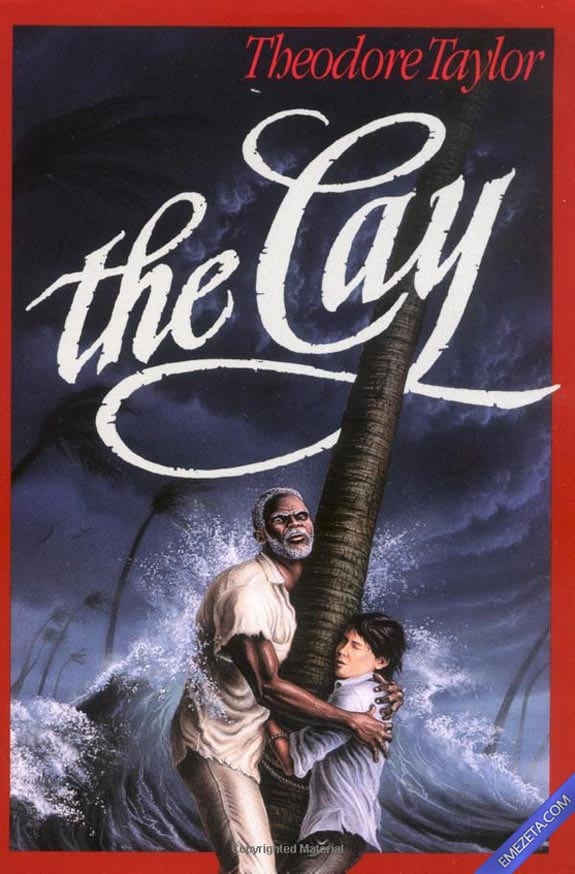 Portadas desconcertantes: The cay