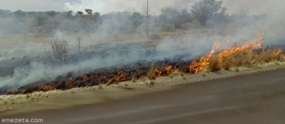 DeLorean en el Sur de África