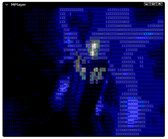 Terminal Linux