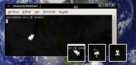 Terminal Linux
