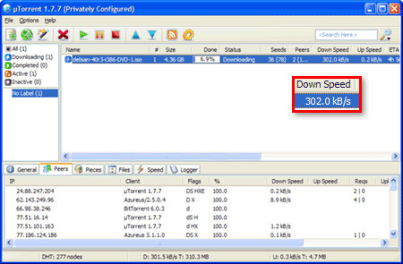 utorrent torrent privacy