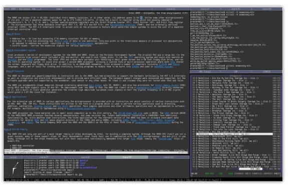 gestor de ventanas linux ion ion3