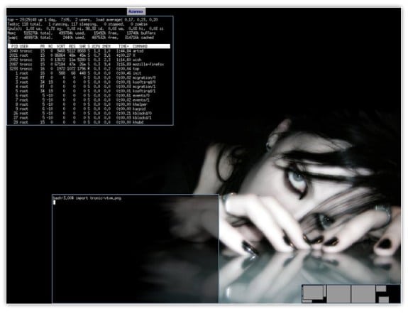gestor de ventanas linux vtwm