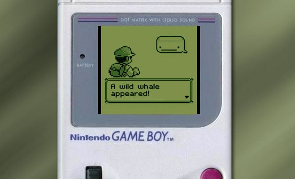 Whale meme: Pokemon whale